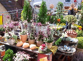 urlaub 2007 729